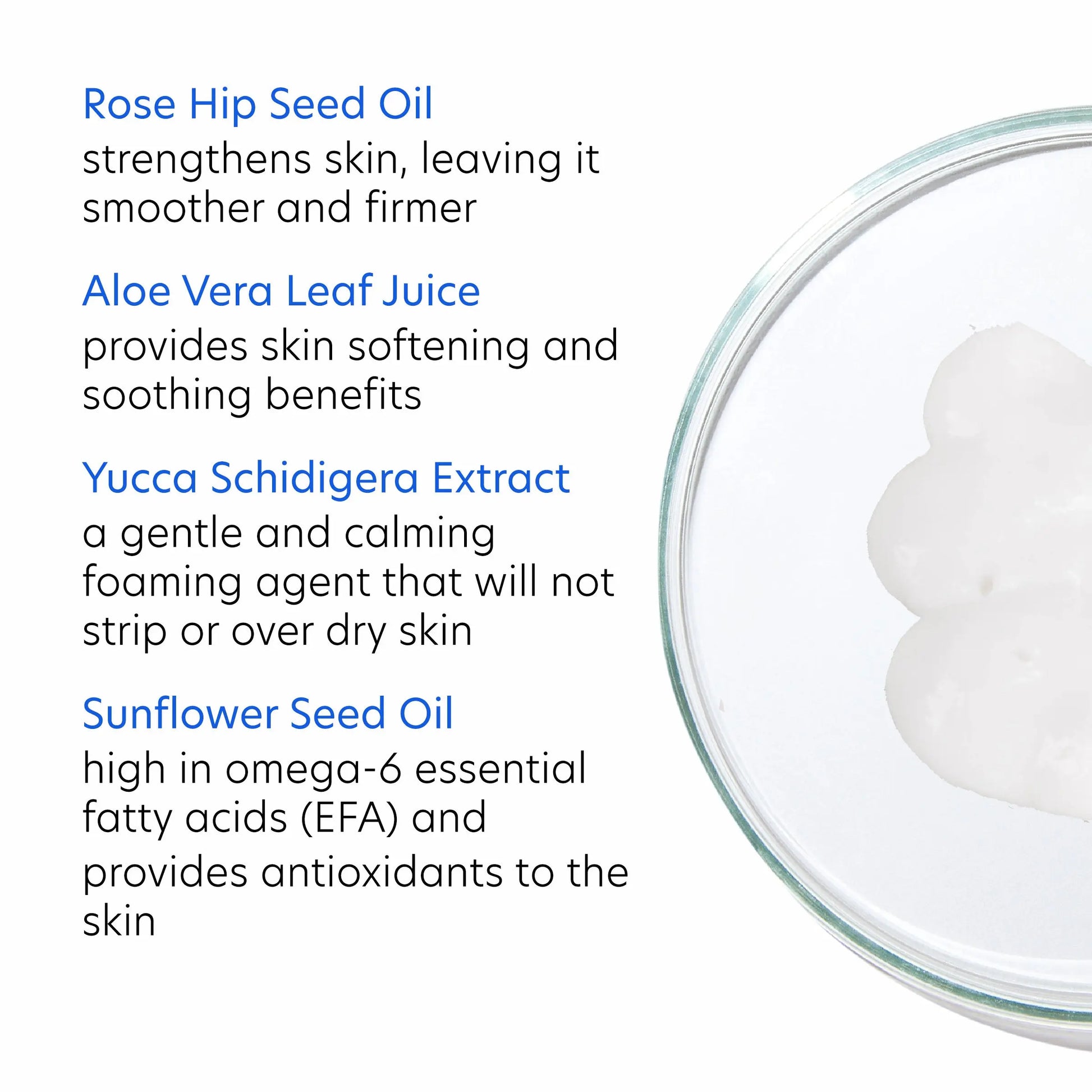 PCA Creamy Cleanser with rosehip and sunflower oils for dry skin, from SkinSkulpt