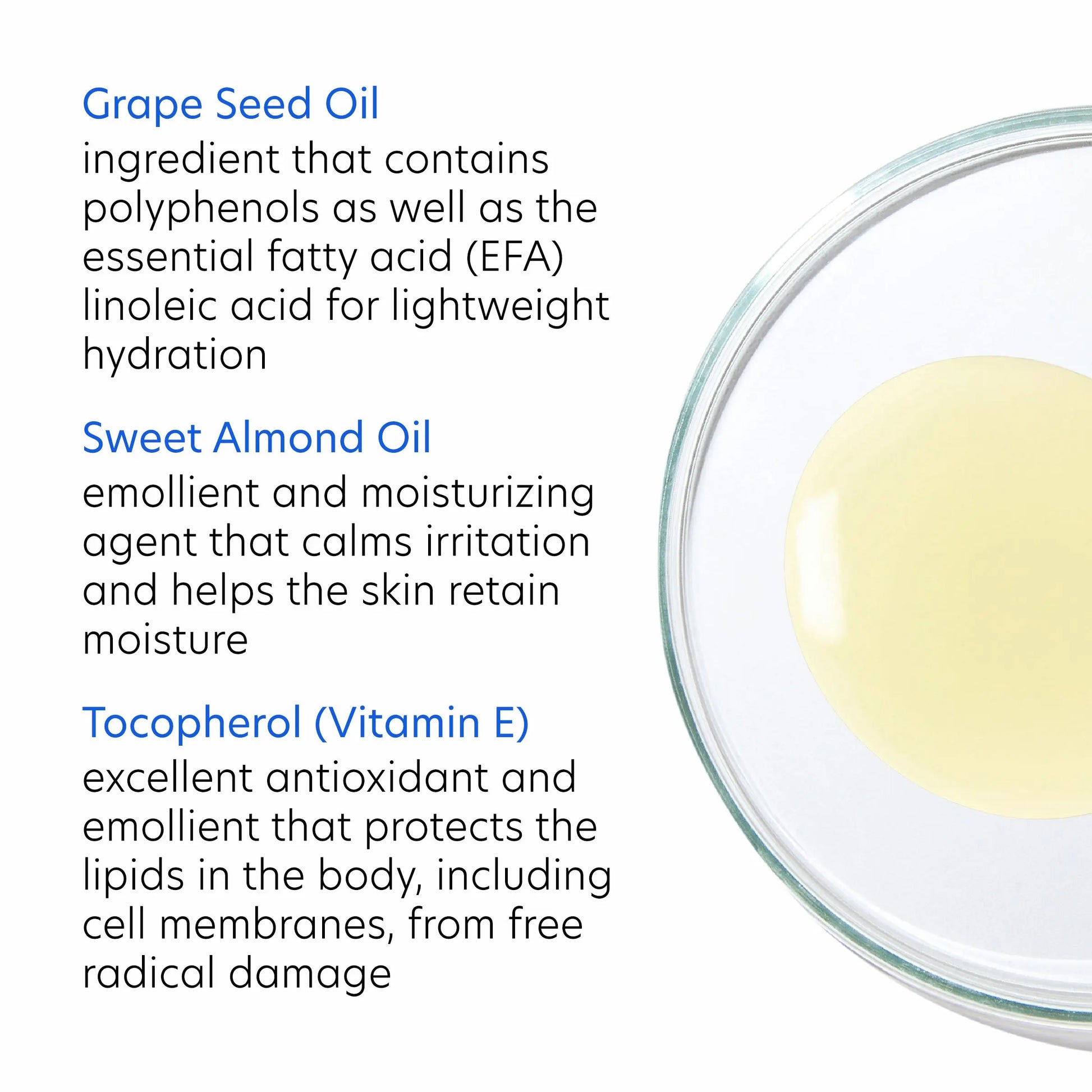 PCA Daily Cleansing Oil with grapeseed and sweet almond oils, from SkinSkulpt
