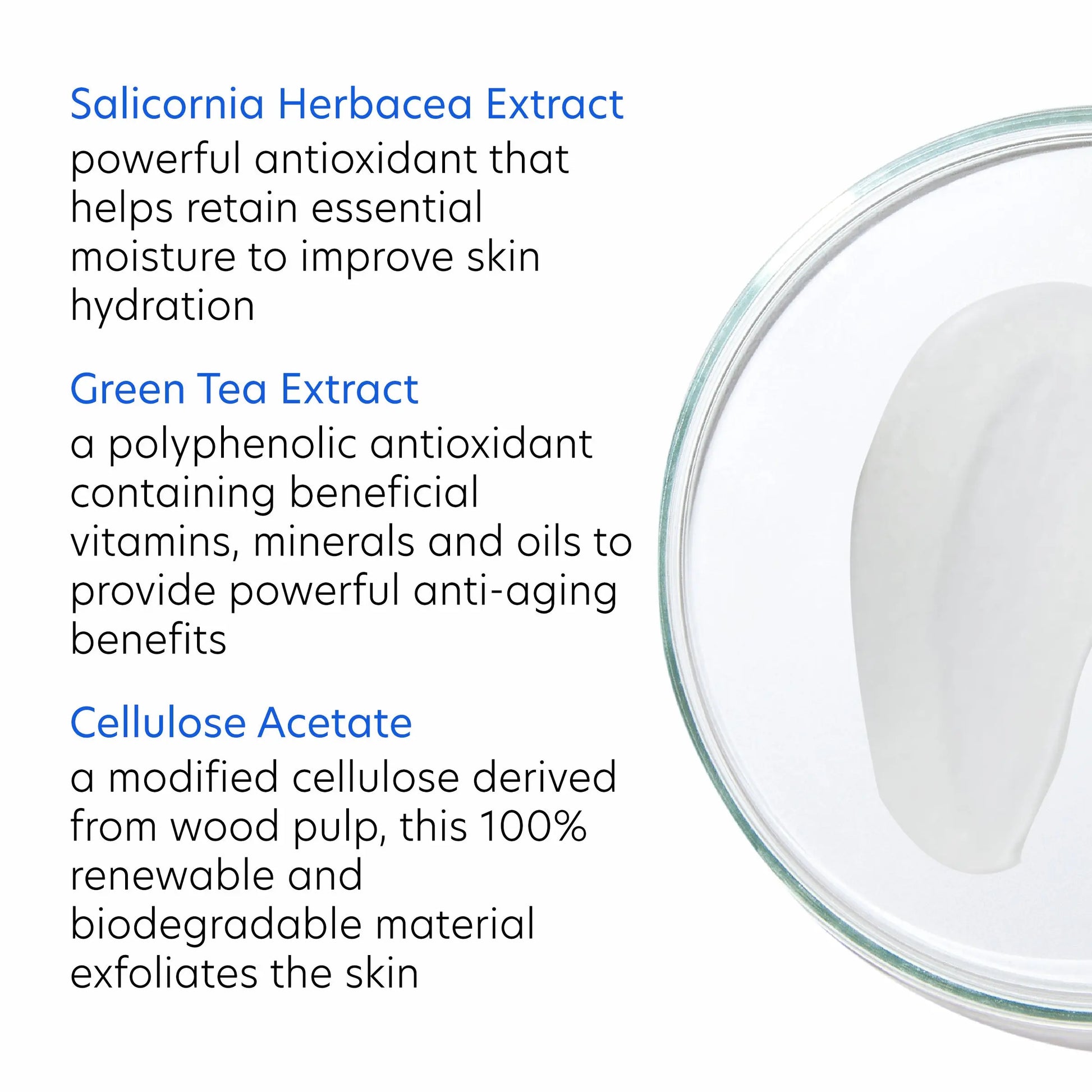 PCA Daily Exfoliant with biodegradable cellulose beads and green tea, from SkinSkulpt