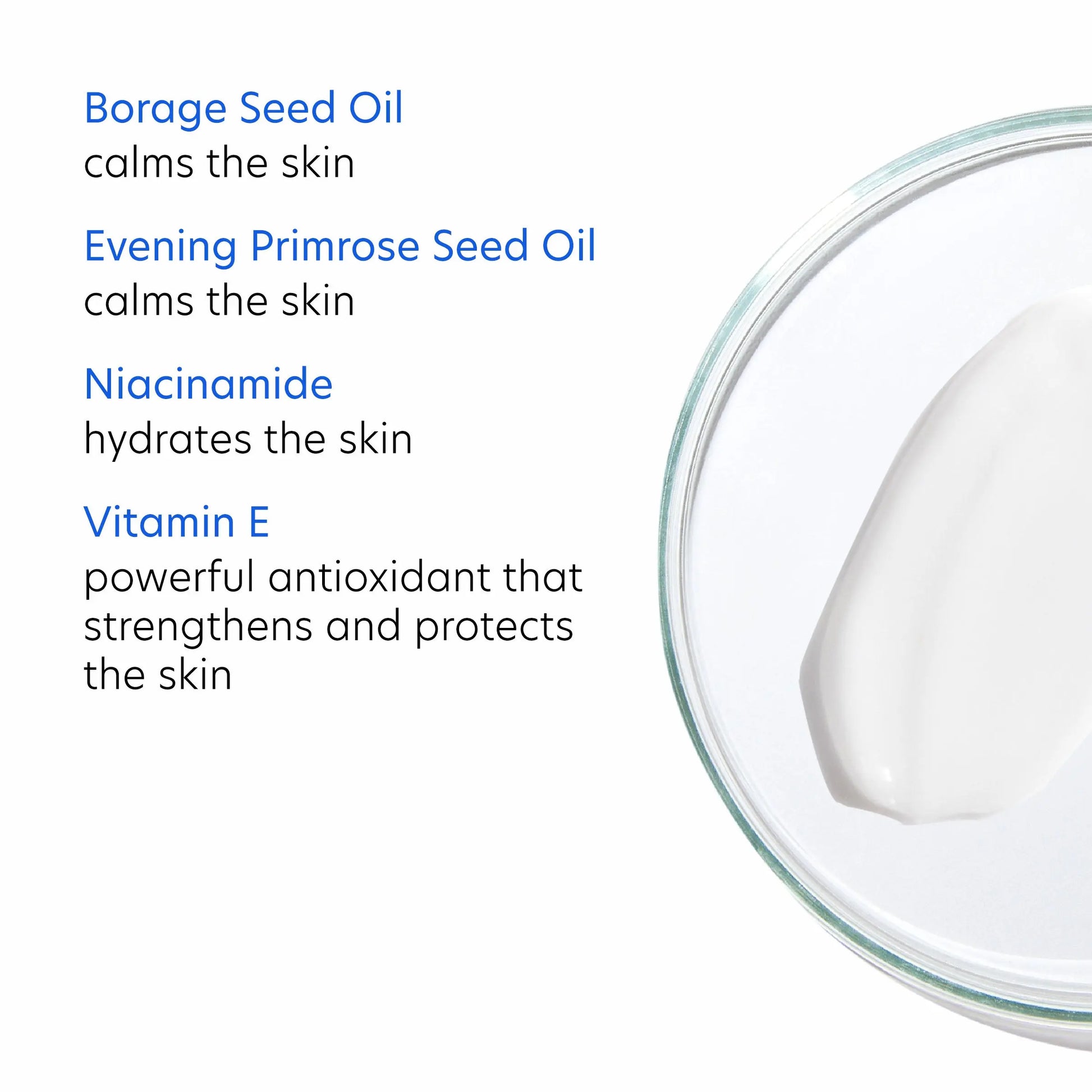 ReBalance Daily Moisturizer PCA