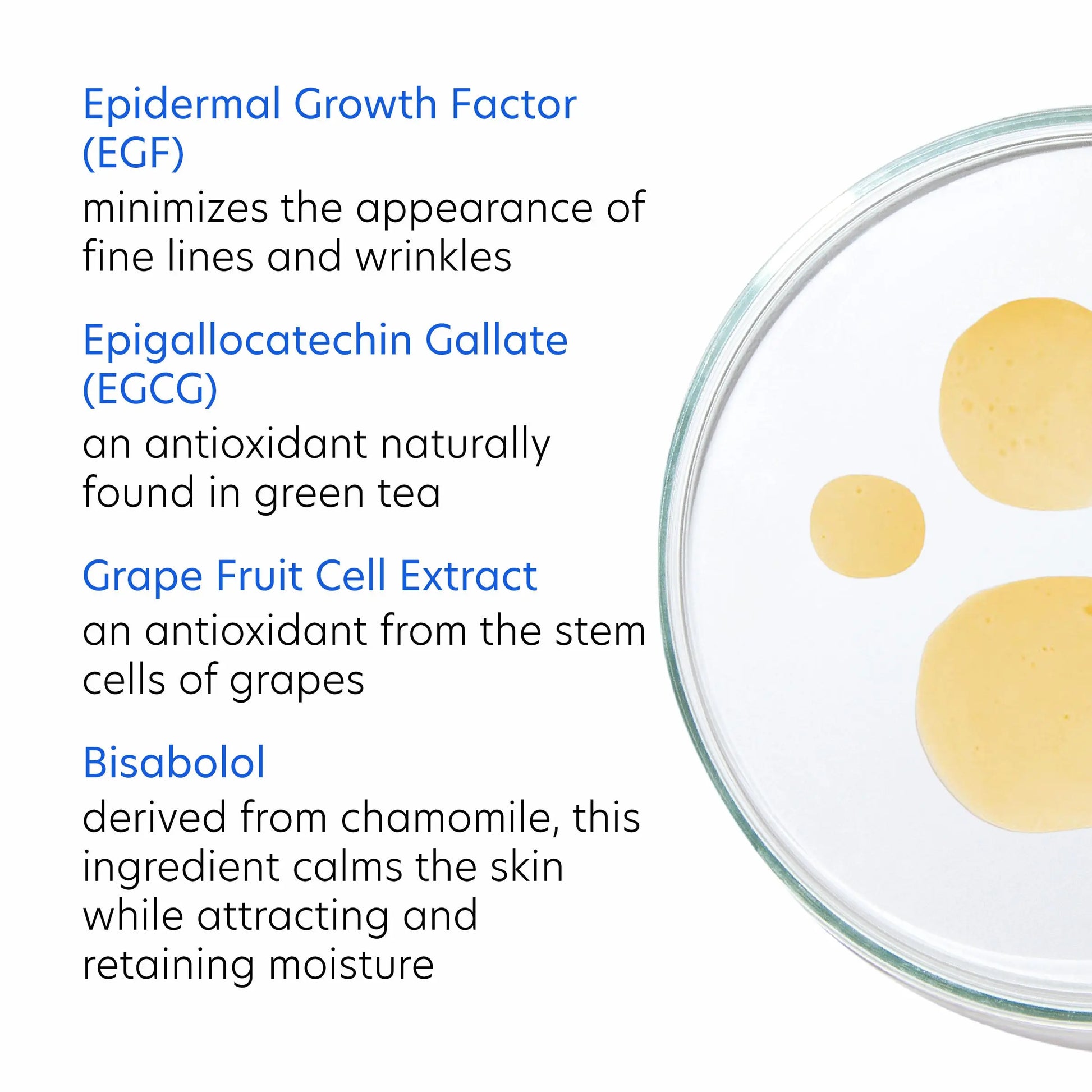 PCA Rejuvenating Serum